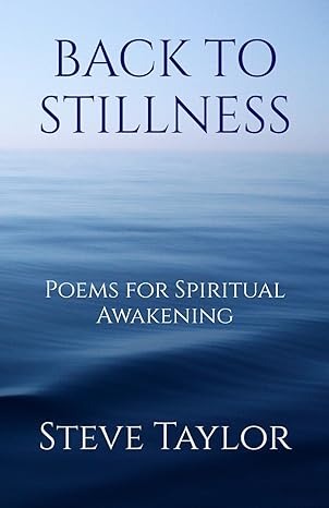 Back to Stillness book cover